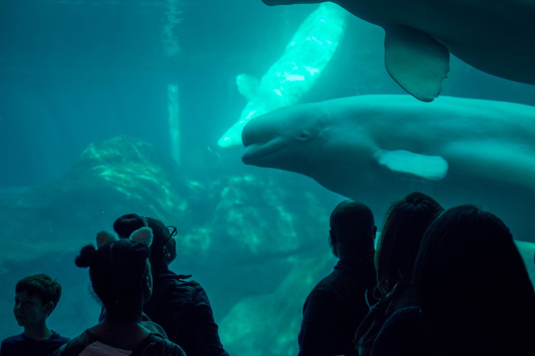20 wichtige Fragen zu How Do I Stop My Aquarium From Reflecting?
