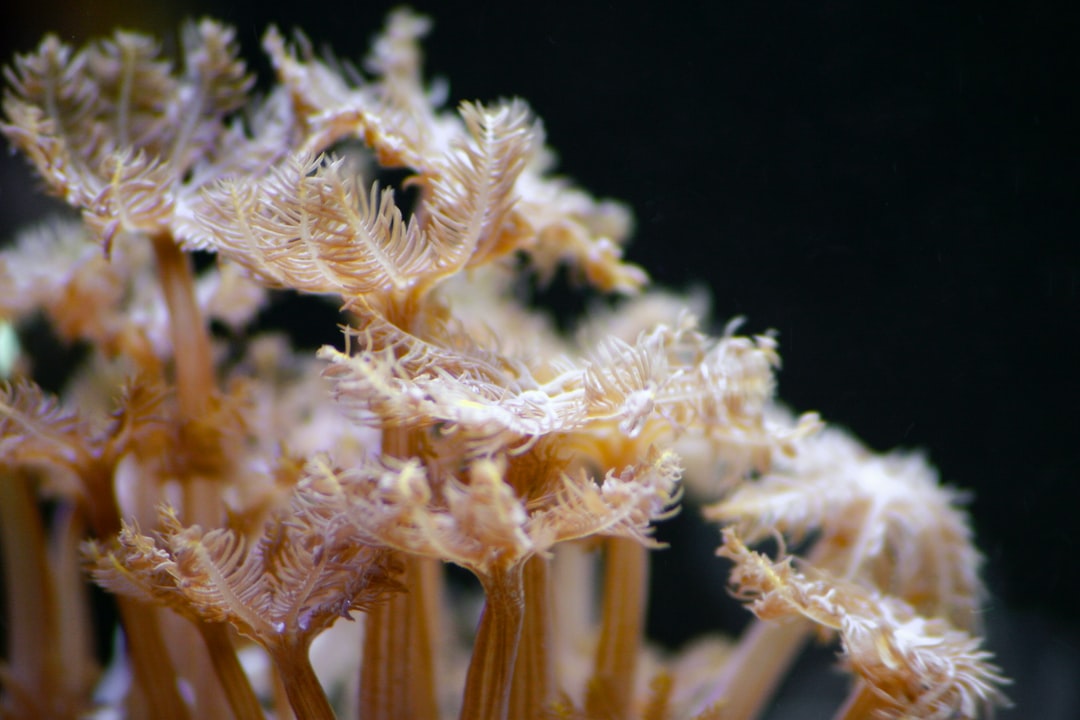 15 wichtige Fragen zu What Causes Ph To Rise In Aquarium?