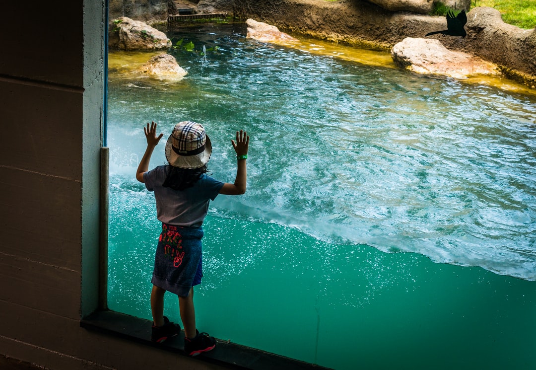 21 wichtige Fragen zu How Do You Make A 3d Rock Background For An Aquarium?
