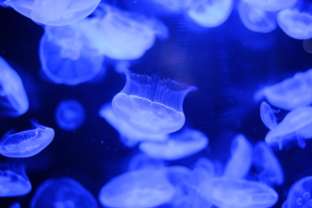 21 wichtige Fragen zu Nitrit Tester Aquarium