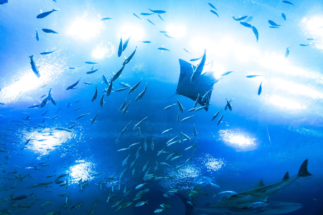 21 wichtige Fragen zu Gesamthärte Aquarium Senken