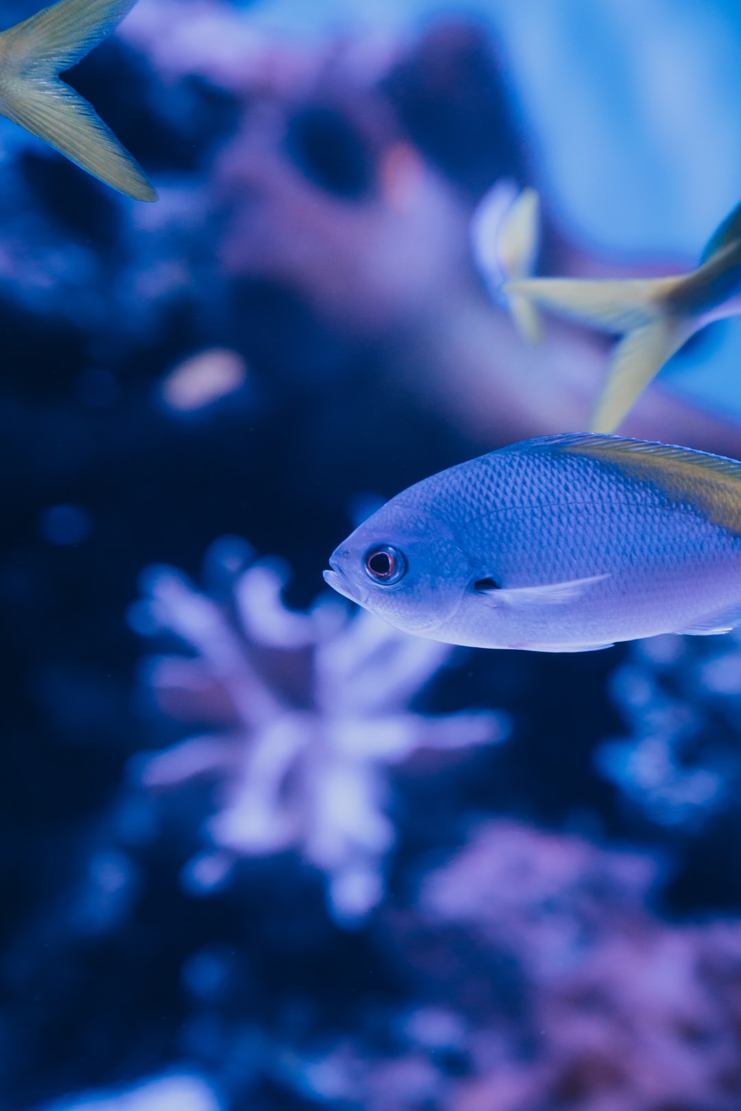 22 wichtige Fragen zu Aquarium Werte Messen