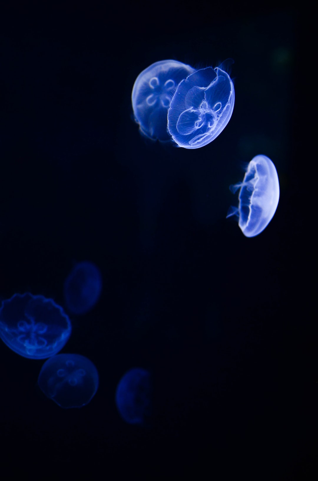 22 wichtige Fragen zu Ph Messgerät Aquarium