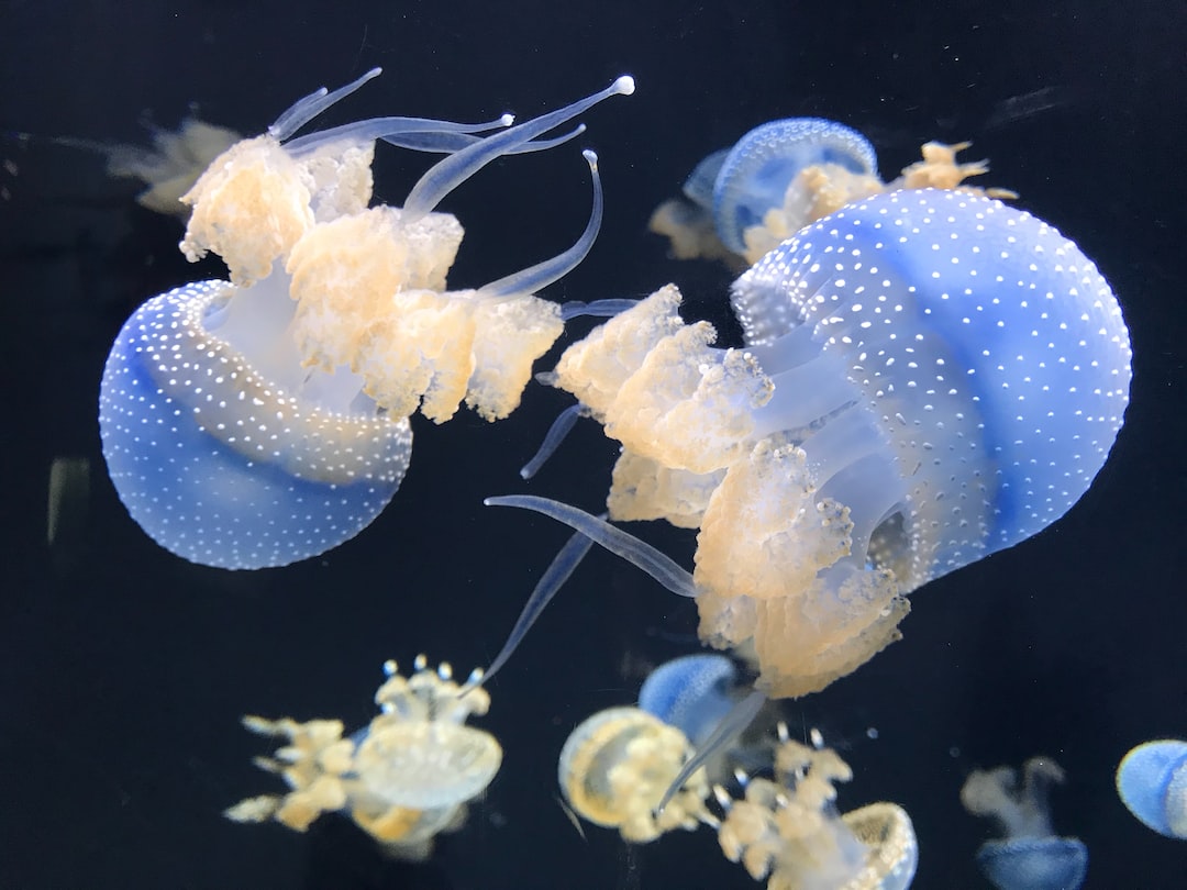 23 wichtige Fragen zu What Is The Best Light For My Aquarium?