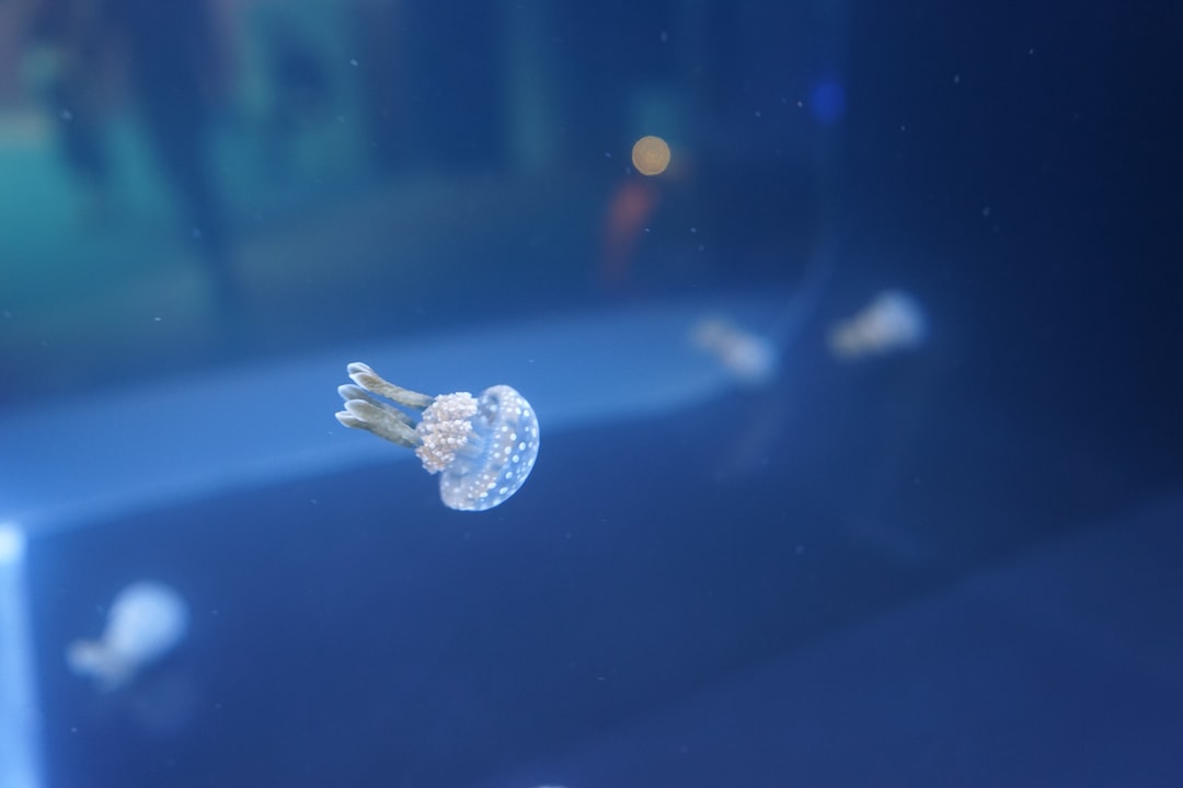 25 wichtige Fragen zu Was Ist Ein Nano Aquarium