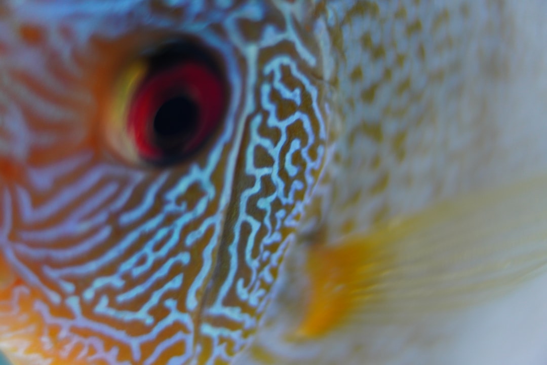 25 wichtige Fragen zu Welcher Fisch Hat Keine Nematoden?