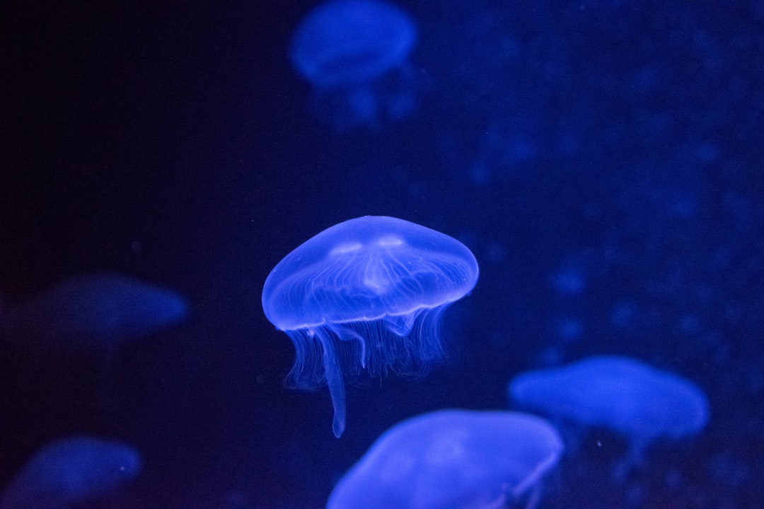 25 wichtige Fragen zu Is Atlanta Aquarium Worth It?