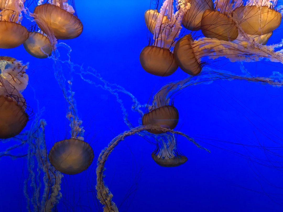 25 wichtige Fragen zu Aquarium Upcycling