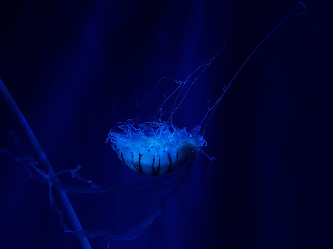8 wichtige Fragen zu How Do I Make My Aquarium Water Crystal Clear?