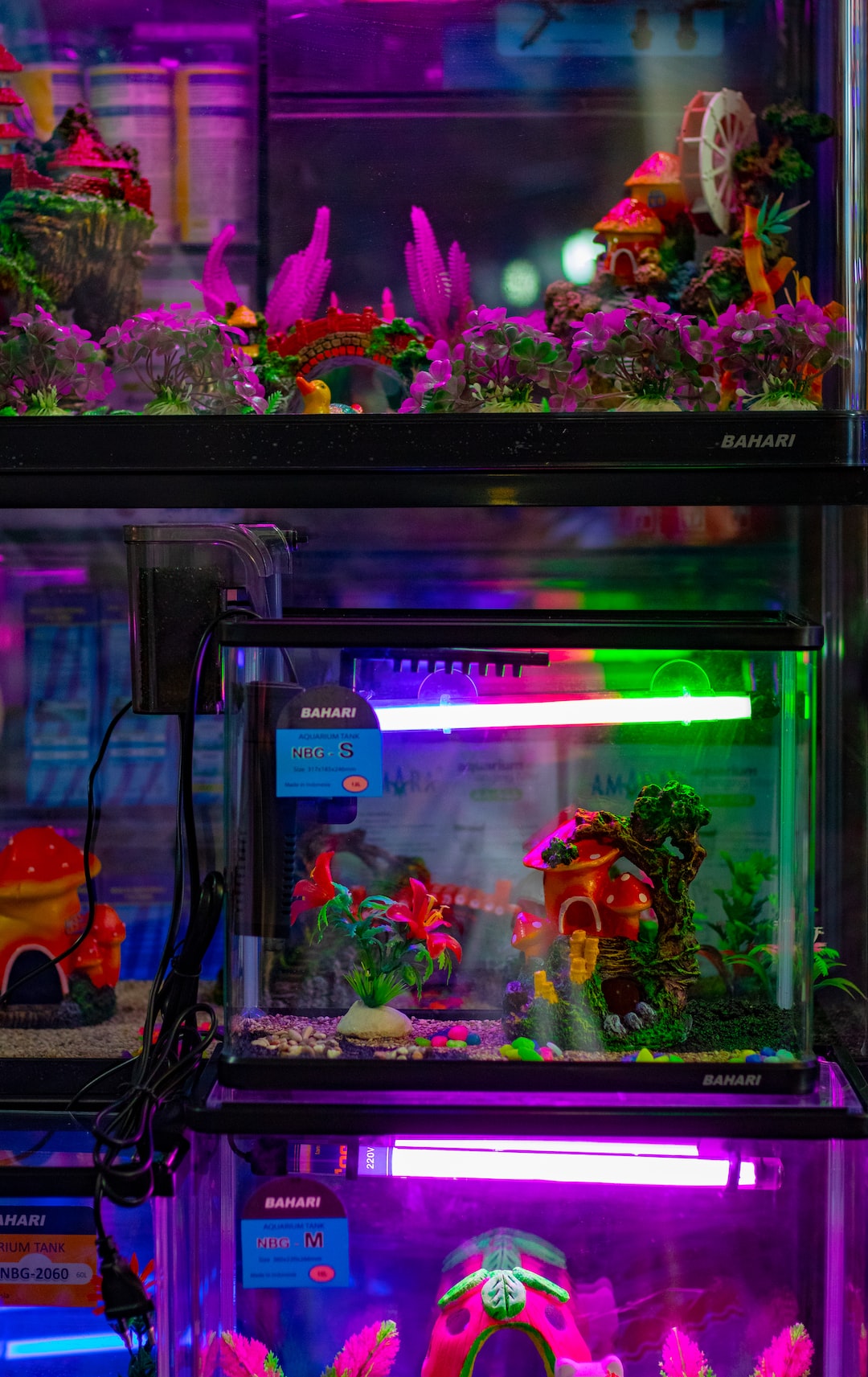 17 wichtige Fragen zu Wie Vermehren Sich Wasserlinsen Im Aquarium?
