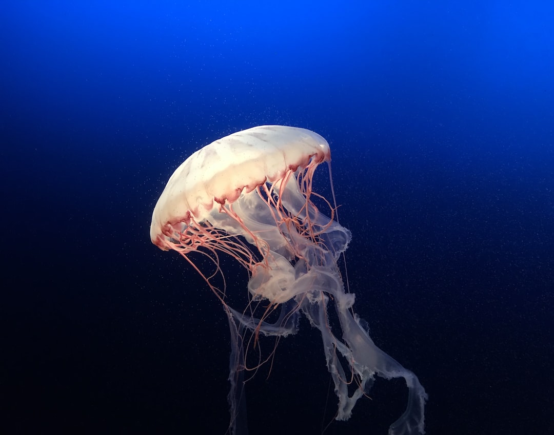 17 wichtige Fragen zu Sind Fadenwürmer Im Aquarium Gefährlich?