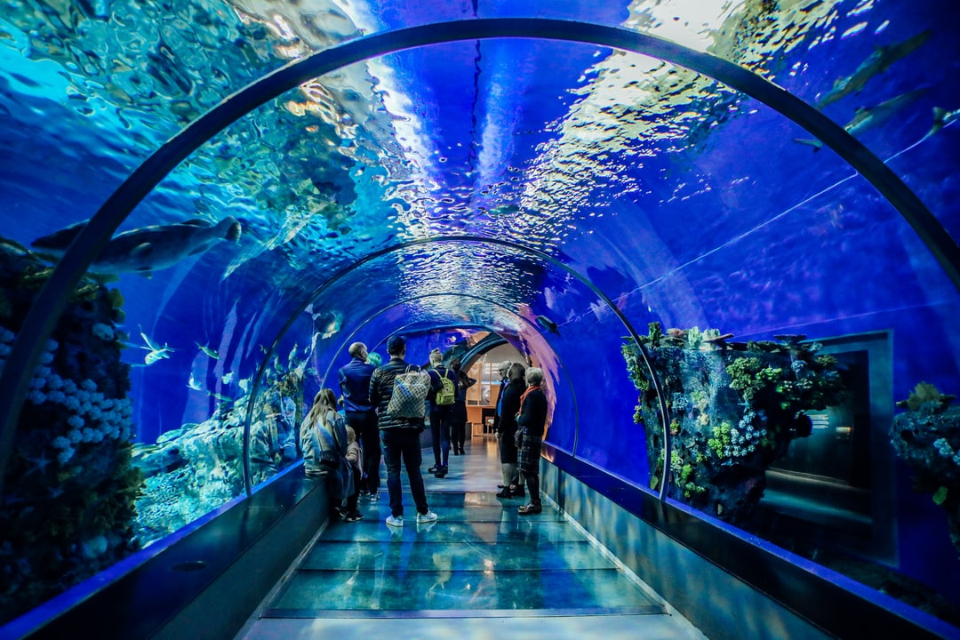 24 wichtige Fragen zu Aquarium Lumen Pro Liter Berechnen