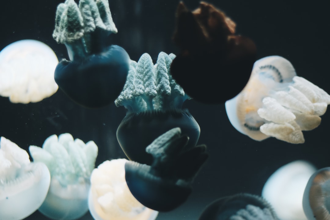 24 wichtige Fragen zu Which Light Is Best For Planted Aquarium?