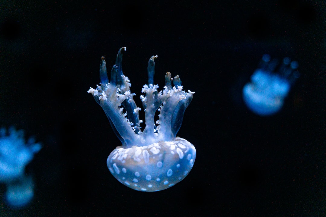 25 wichtige Fragen zu Do Corals Consume Alkalinity At Night?