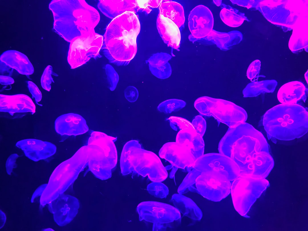 25 wichtige Fragen zu Phosphat Mangel Aquarium