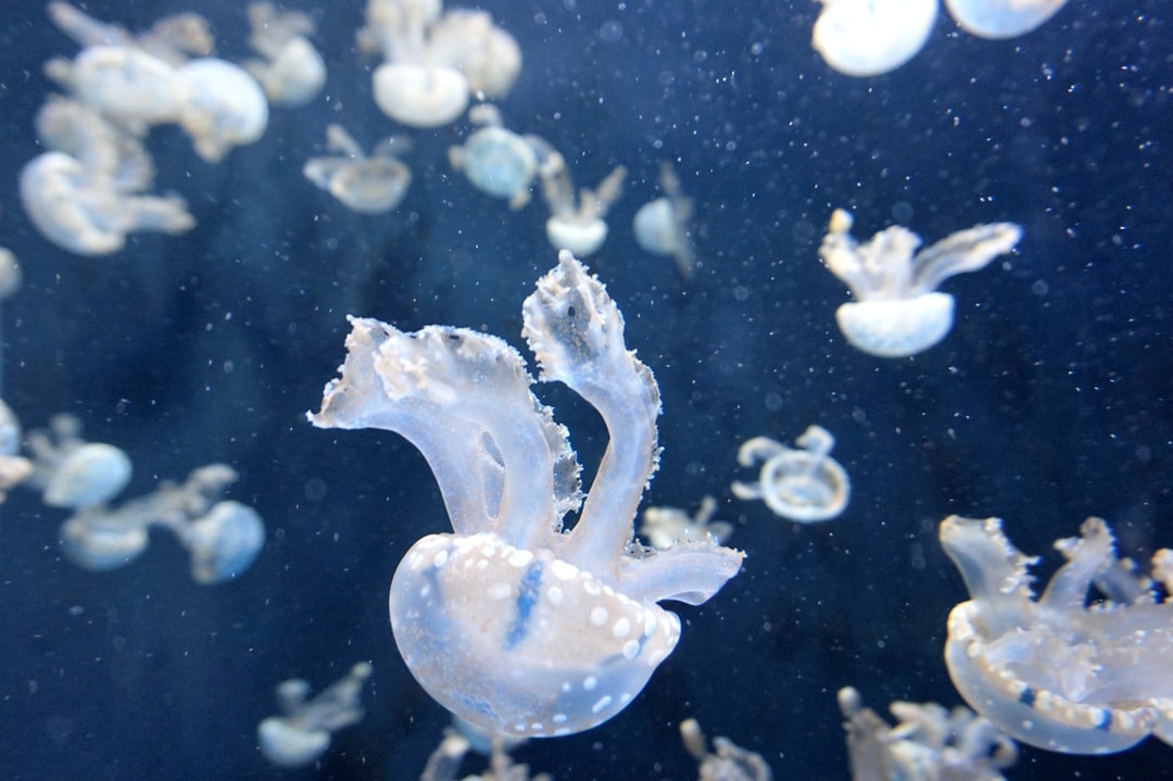 20 wichtige Fragen zu Welche Würmer Im Aquarium?