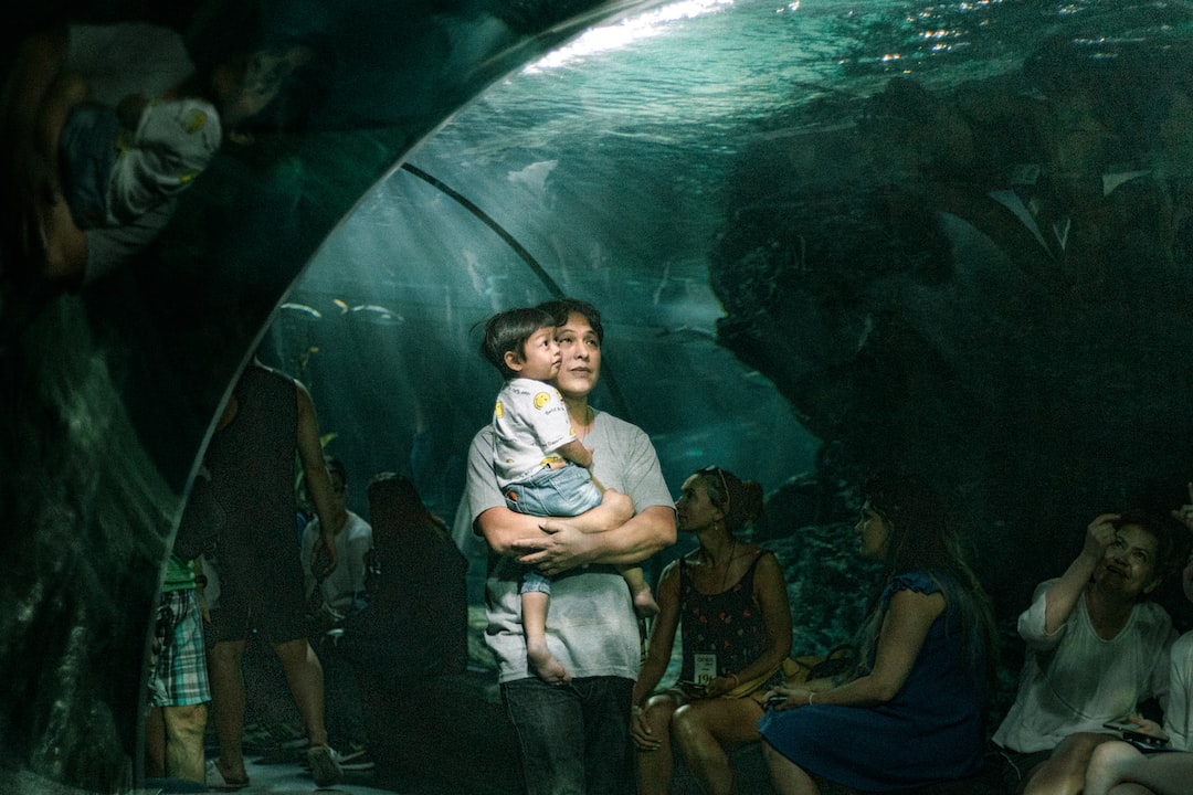 23 wichtige Fragen zu Quallen Aquarium Net