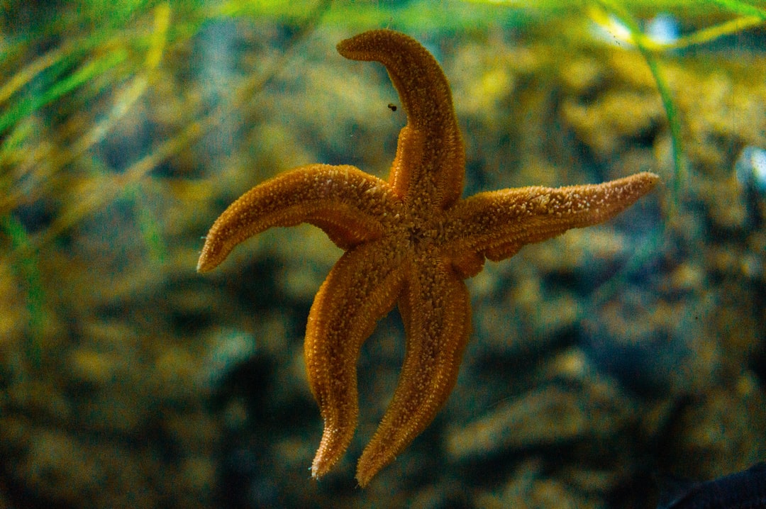 24 wichtige Fragen zu Aquarium Ausstattung