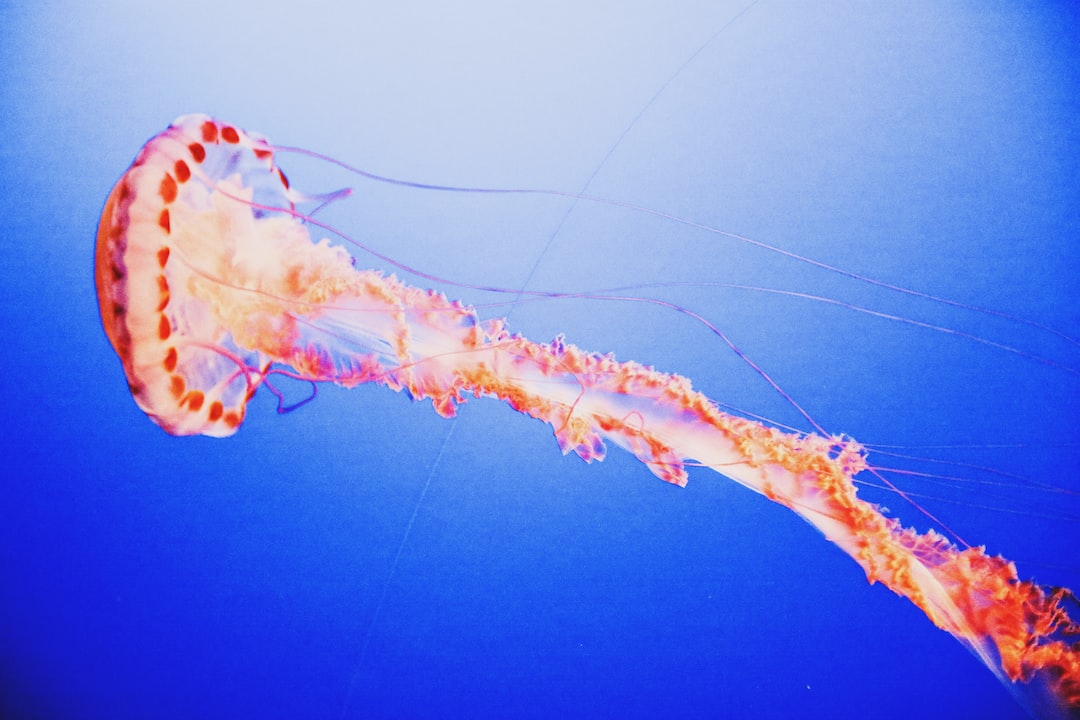24 wichtige Fragen zu Wie Hoch Muss Der Nitratwert Im Aquarium Sein?