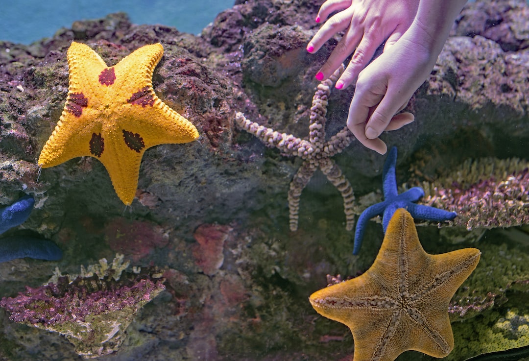 24 wichtige Fragen zu What Are The Components Of Aquarium?