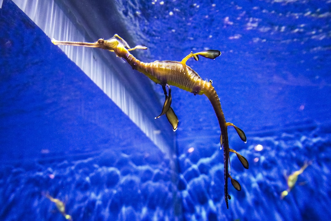 25 wichtige Fragen zu Was Sind Wirbellose Tiere Aquarium?