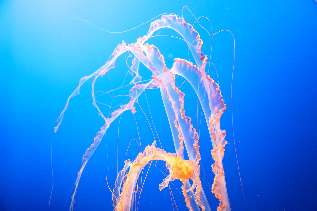 25 wichtige Fragen zu Wie Oft Wasserwechsel 80l Aquarium?
