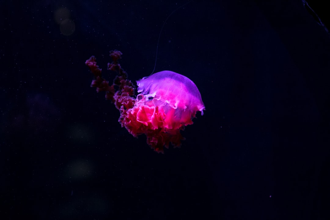 19 wichtige Fragen zu Aquarium Sekundenkleber