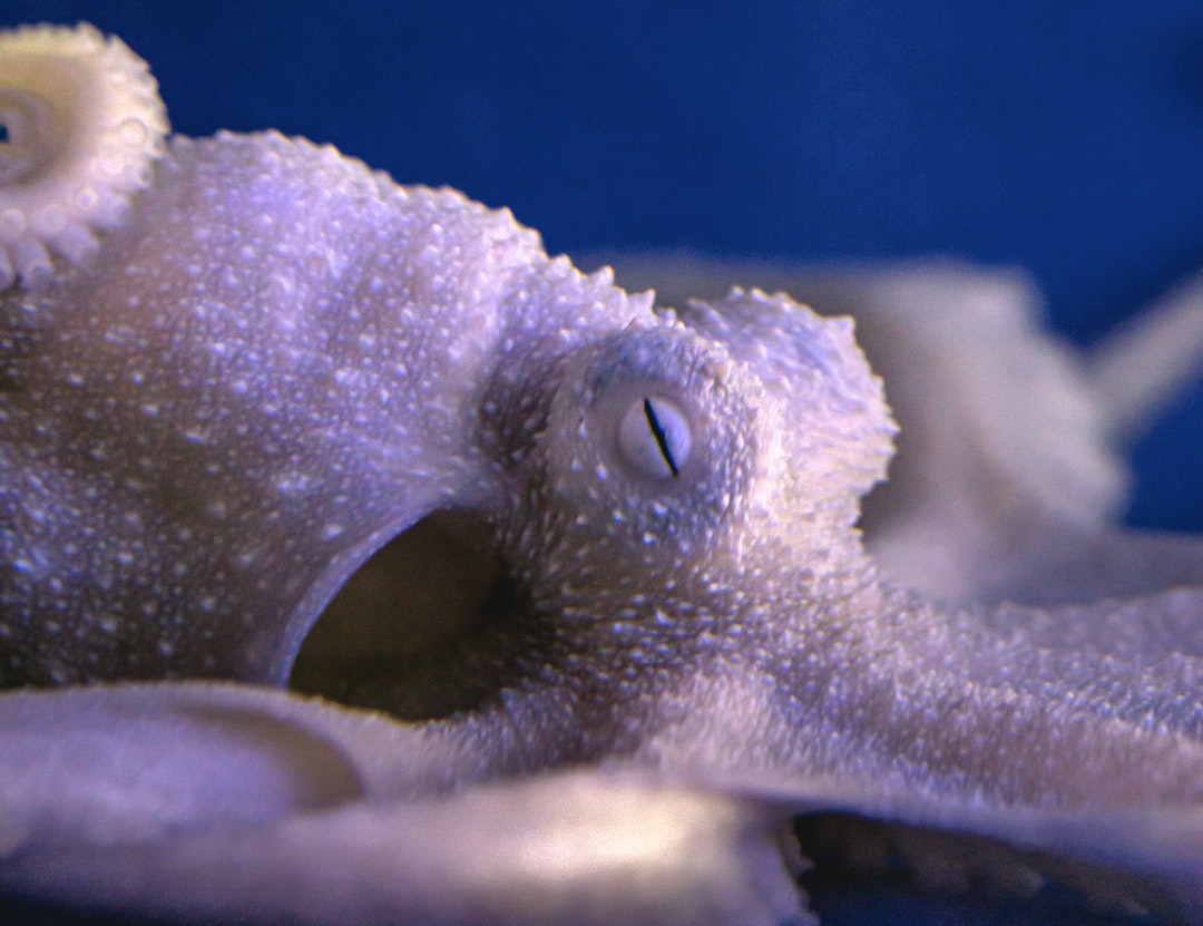 21 wichtige Fragen zu Aquarium Maßanfertigung