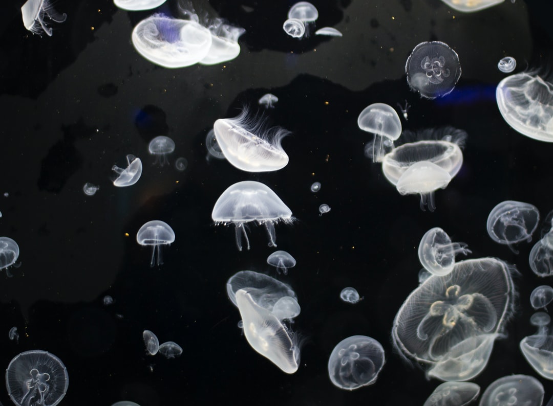 21 wichtige Fragen zu Aquarium Abdeckung