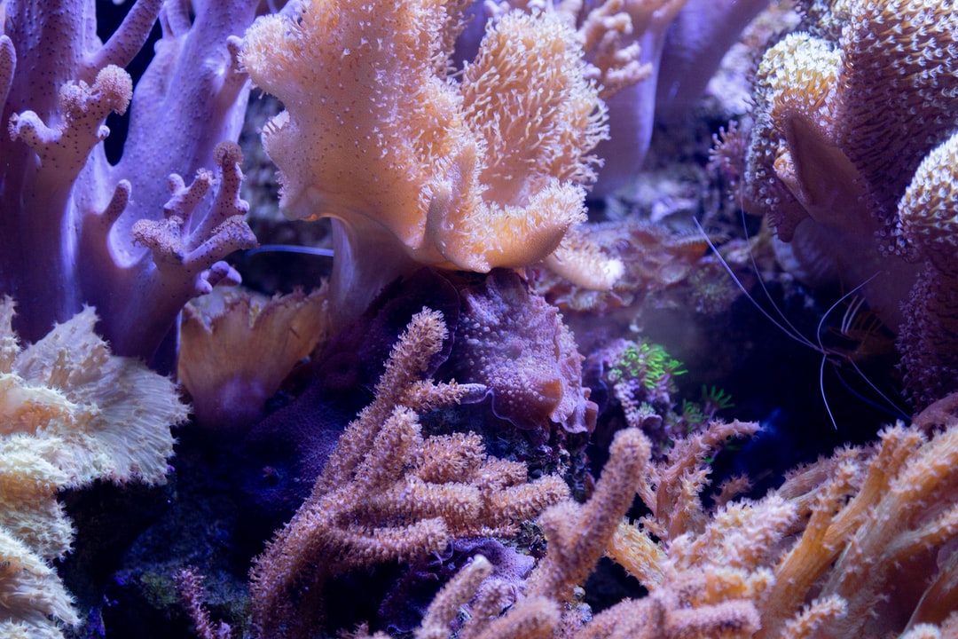23 wichtige Fragen zu Aquarium Konfigurieren