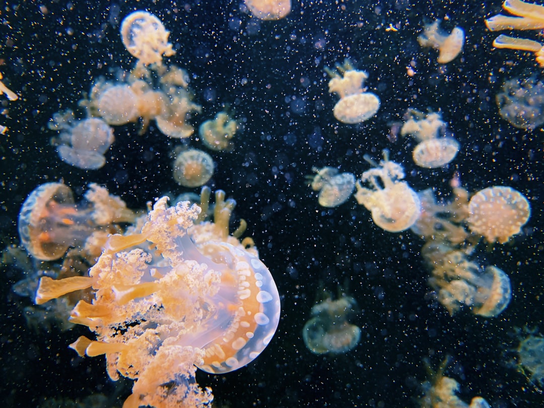 24 wichtige Fragen zu Aquarium Wasserkühlung