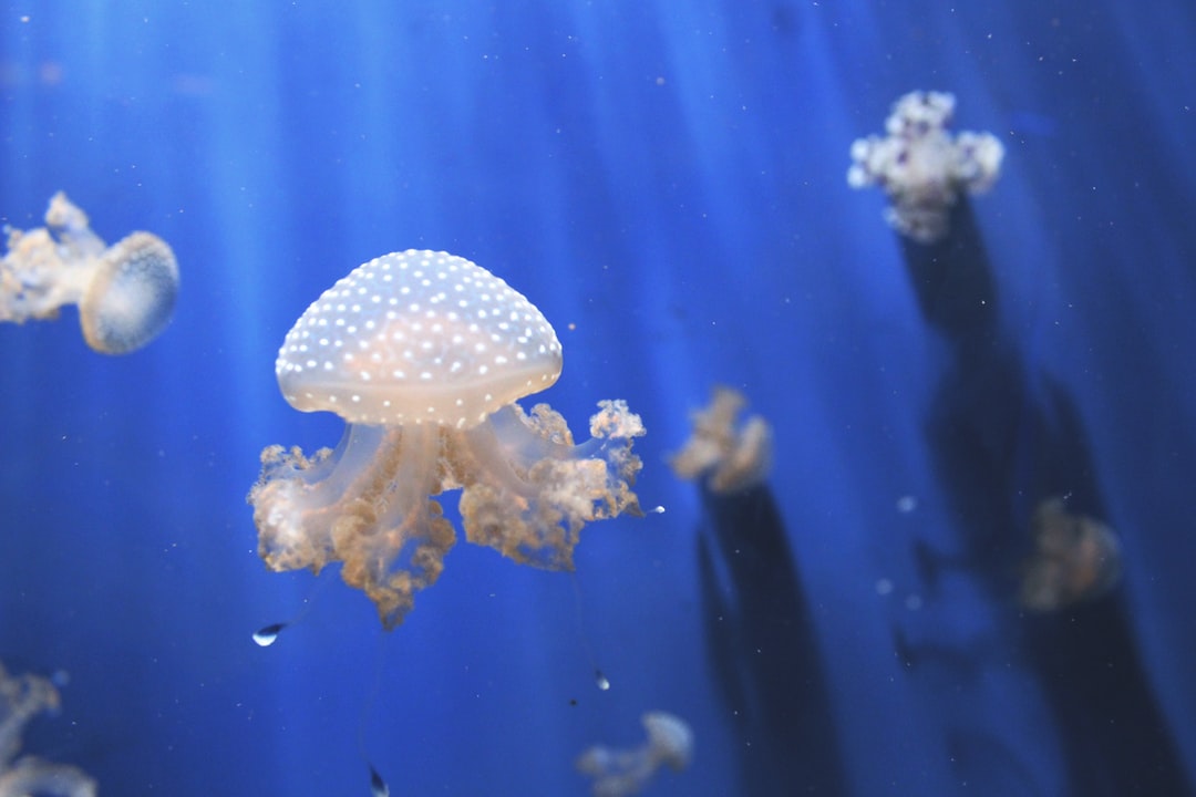 25 wichtige Fragen zu Aquarium Gadgets