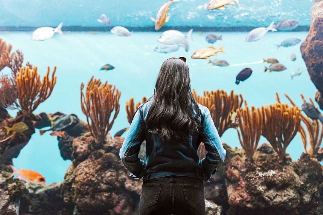 25 wichtige Fragen zu Aquarium Mulm Fresser