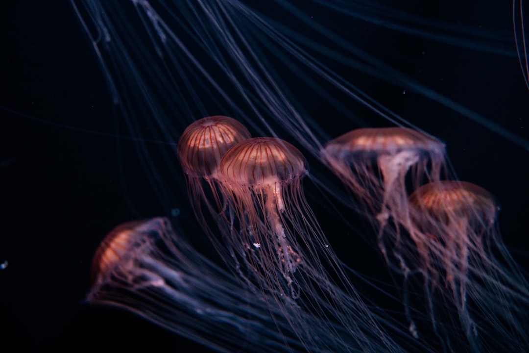 16 wichtige Fragen zu Wie Züchtet Man Phytoplankton?