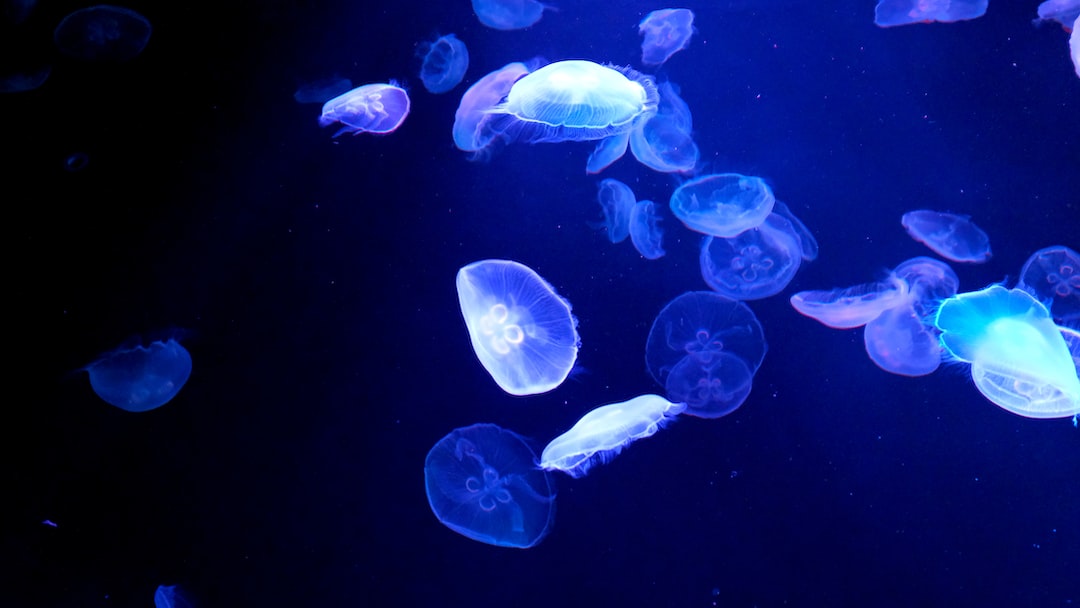 20 wichtige Fragen zu Torffilterung Aquarium