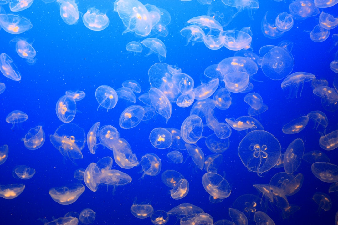 21 wichtige Fragen zu Wie Hoch Darf Der Nitritgehalt Im Aquarium Sein?