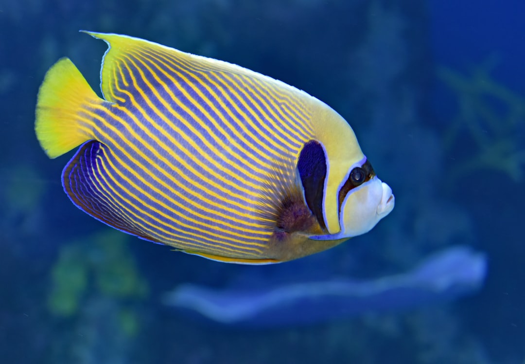 22 wichtige Fragen zu Aquarium Urlaub