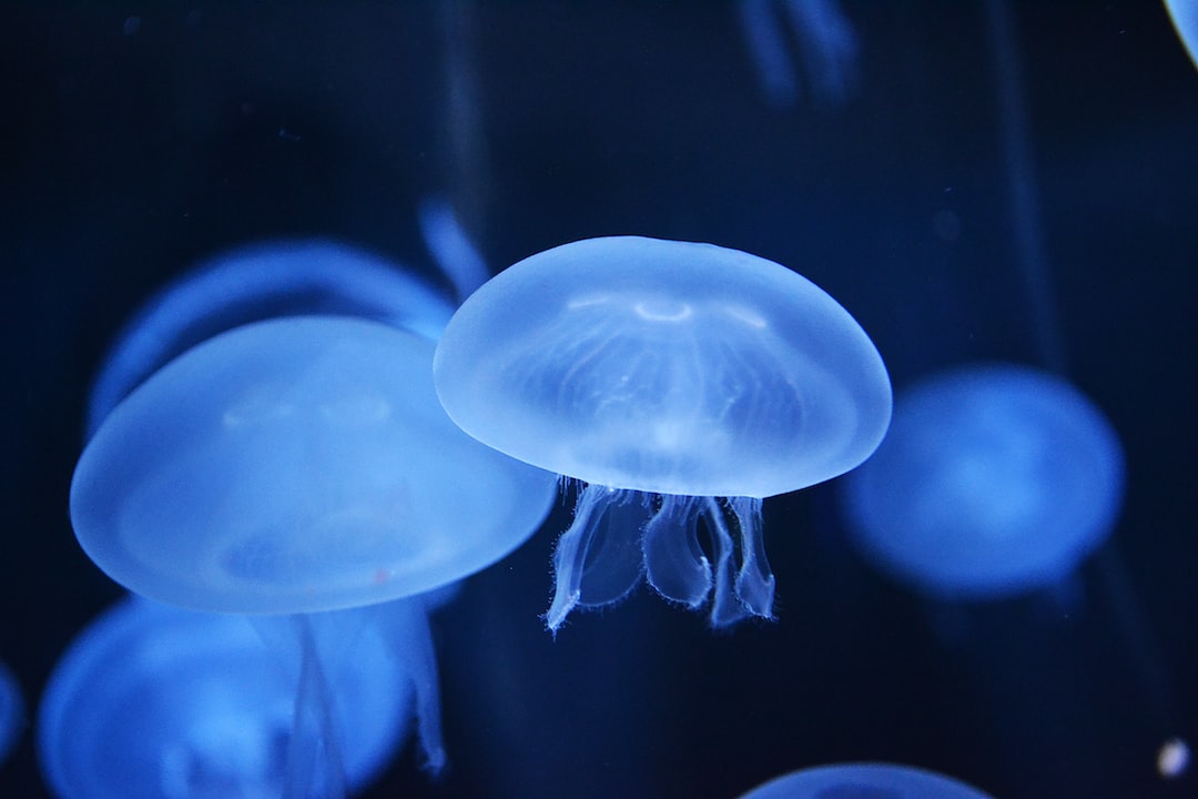 22 wichtige Fragen zu What Kills Shrimp In Aquarium?