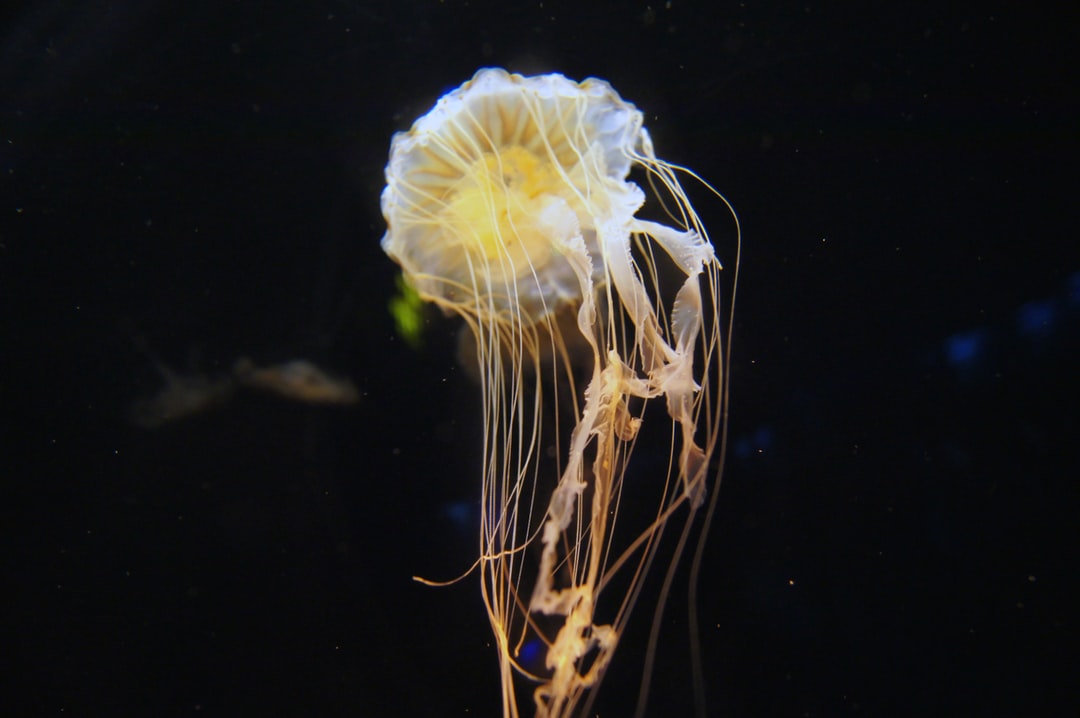 23 wichtige Fragen zu Aquarium Messgeräte