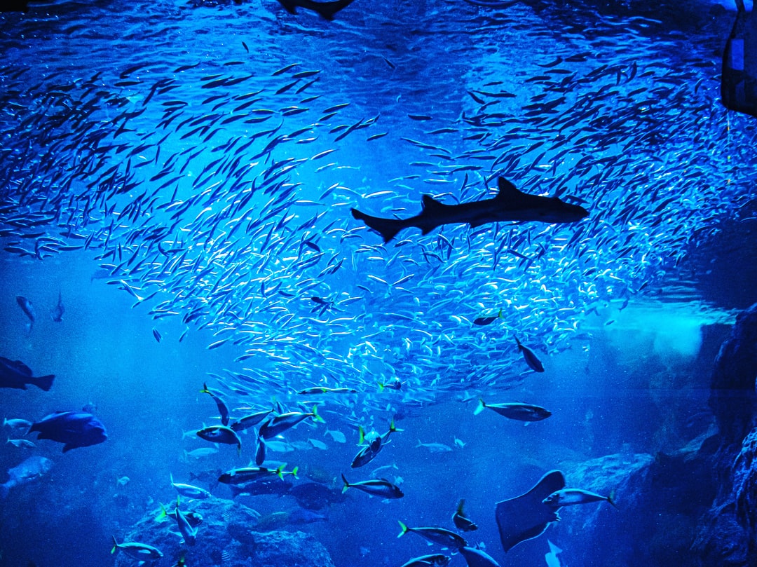 24 wichtige Fragen zu 240 Liter Aquarium