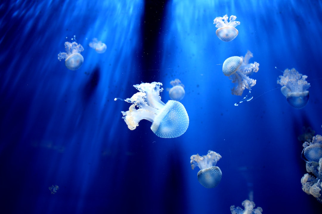 25 wichtige Fragen zu Does Shedd Aquarium Sell Out?
