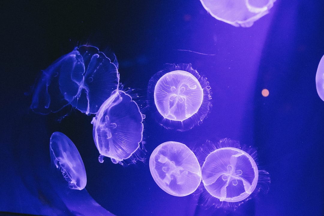 25 wichtige Fragen zu Wie Viel Arbeit Macht Ein Salzwasseraquarium?