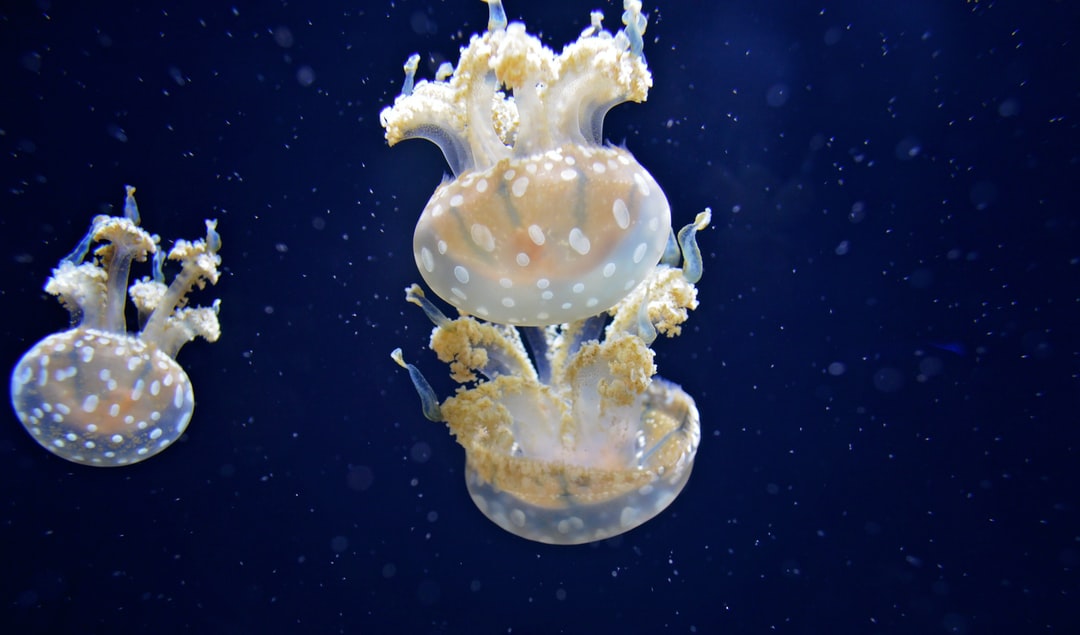 25 wichtige Fragen zu Wasser Aquarium