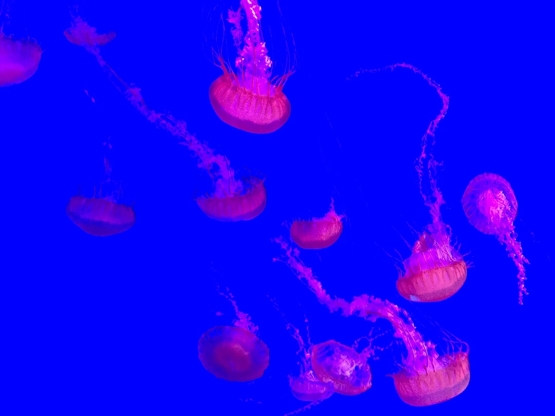 15 wichtige Fragen zu Wie Oft Werte Messen Meerwasseraquarium?