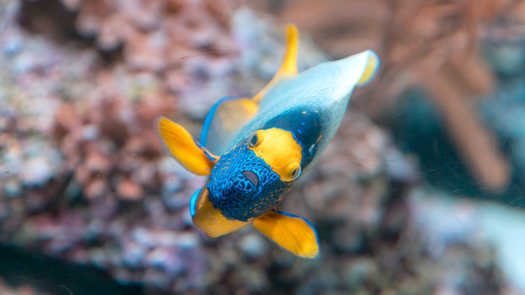 22 wichtige Fragen zu Aquarium Remscheid