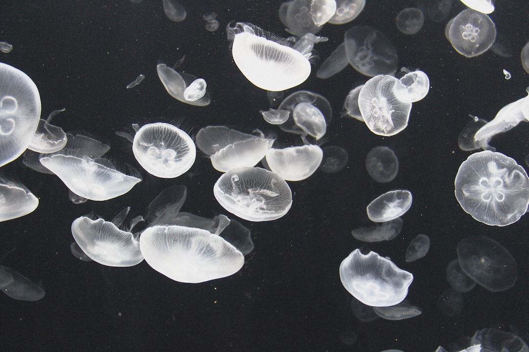 23 wichtige Fragen zu Wie Lange Dauert Es Bis Wurzeln Im Aquarium Untergehen?