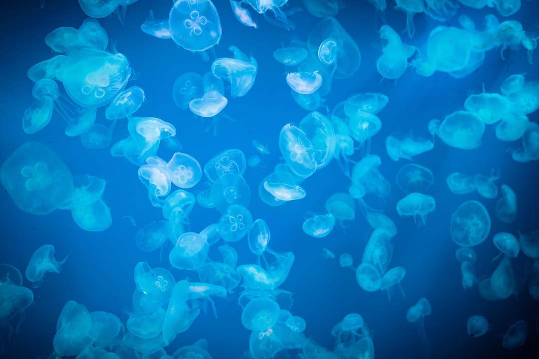 25 wichtige Fragen zu Was Sind Aquarium Schwimmpflanzen?