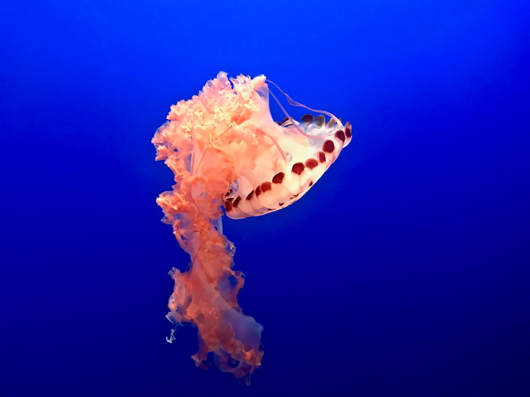 25 wichtige Fragen zu Wie Lange Leben Kleine Fische Im Aquarium?