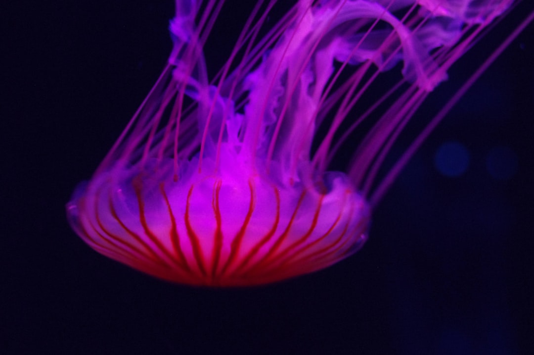 25 wichtige Fragen zu Aquarium Pflegen