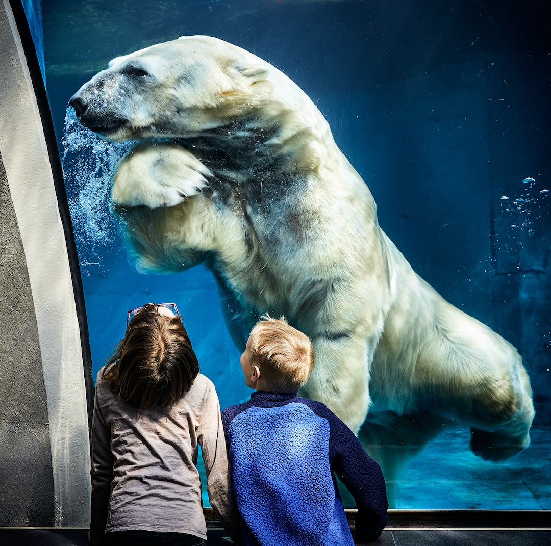 12 wichtige Fragen zu Schrank Aquarium